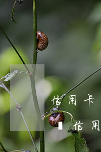 信用卡還最低額度會(huì)逾期嗎(一直還信用卡最低額度會(huì)怎樣)