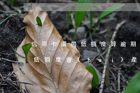 信用卡還最低額度算逾期嗎6(銀行卡還了最低額度會(huì)產(chǎn)生逾期)