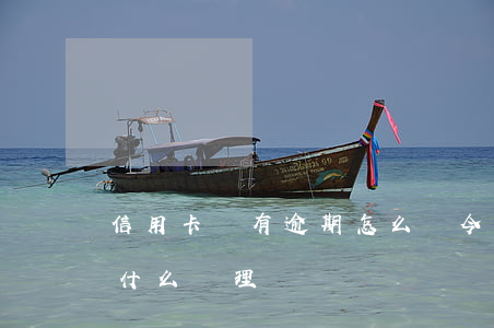 信用卡還有逾期怎么辦(今年的信用卡逾期有什么處理)