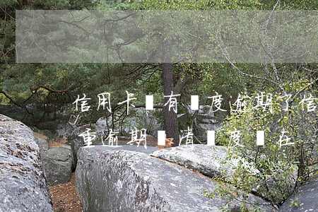 信用卡還有額度逾期了(信用卡嚴(yán)重逾期還清額度還在)