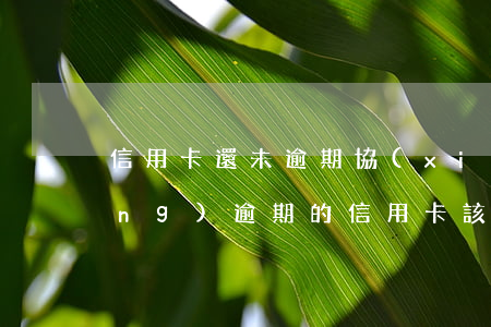 信用卡還未逾期協(xié)商(已經(jīng)逾期的信用卡,該如何與銀行協(xié)商暫緩還款)