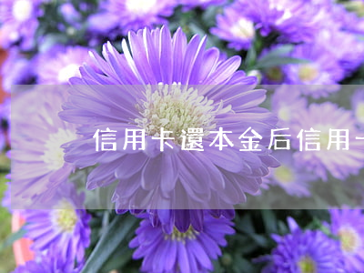 信用卡還本金后(信用卡還本金后不還利息)