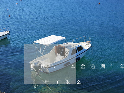 信用卡還本金逾期1年了(信用卡還本金逾期1年了怎么辦)