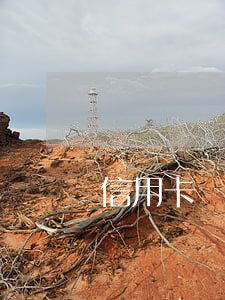 信用卡還欠8萬-信用卡欠8萬利息多少