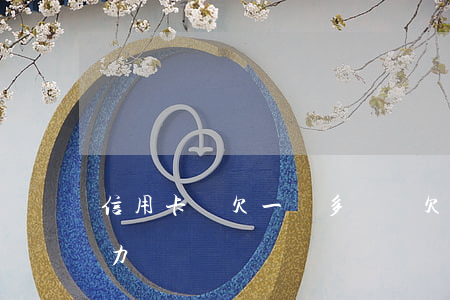 信用卡還欠一萬多沒還(欠了信用卡1萬沒能力還)
