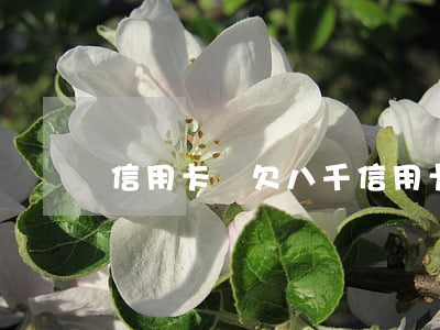 信用卡還欠八千(信用卡欠八千多判多久)