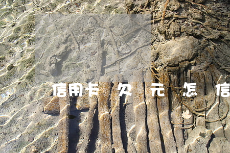 信用卡還欠幾元會怎樣（信用卡還欠幾元會怎樣）