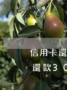 信用卡還款30萬逾期多久會起訴-信用卡還款30萬逾期多久會起訴對方