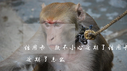 信用卡還款不小心逾期了(信用卡還款不小心逾期了怎么辦)