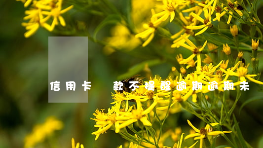 信用卡還款不提醒逾期 逾期未還信用卡