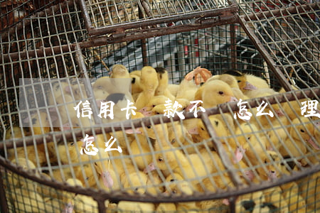 信用卡還款不還怎么辦理嗎(還信用卡還不了怎么辦)