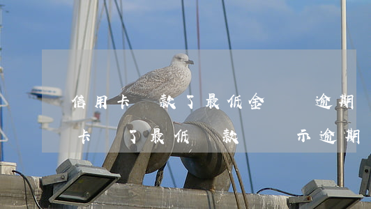 信用卡還款了最低金額會逾期嗎(為什么信用卡還了最低還款還顯示逾期)