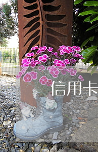 信用卡還款了還是顯示透支