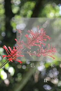 信用卡還款了還顯示逾期(為什么還了信用卡,說我逾期了)