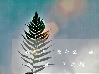信用卡還款什么時候還算逾期(信用卡還款什么時候還算逾期)