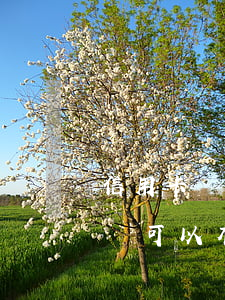信用卡還款免逾期啥意思(為什么信用卡逾期還可以有減免)