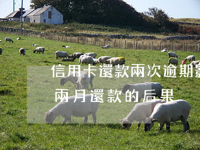 信用卡還款兩次逾期影響房貸嗎-房貸逾期兩月還款的后果