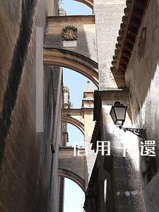 信用卡還款分期免息的嗎