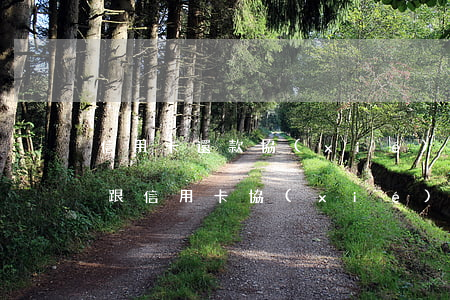 信用卡還款協(xié)商無(wú)利息(跟信用卡協(xié)商還款范本)