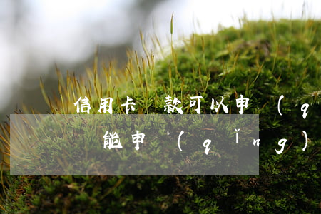 信用卡還款可以申請(qǐng)逾期(逾期還能申請(qǐng)信用卡嗎)