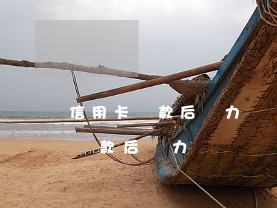 信用卡還款后無力償還賬單怎么辦-信用卡還款后無力償還賬單怎么辦呢