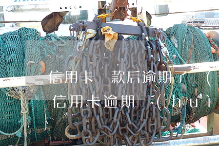 信用卡還款后逾期了會(huì)怎么樣(還信用卡逾期會(huì)有什么后果)
