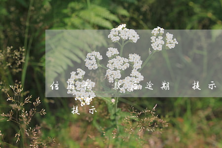 信用卡還款后逾期沒提示(信用卡還款后逾期沒提示)