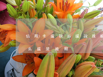 信用卡還款后還說我逾期(信用卡還款了為什么還是逾期)