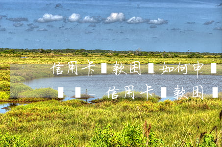 信用卡還款困難如何申請(qǐng)停息掛賬-信用卡還款困難如何申請(qǐng)停息掛賬呢
