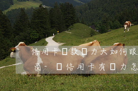 信用卡還款壓力大如何跟銀行協(xié)商-還信用卡有壓力怎么辦