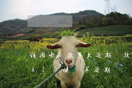 信用卡還款多久逾期還款(信用卡什么時(shí)候還算逾期)