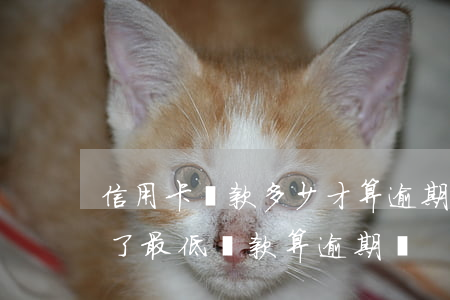 信用卡還款多少才算逾期(信用卡在還款日還了最低還款算逾期嗎)