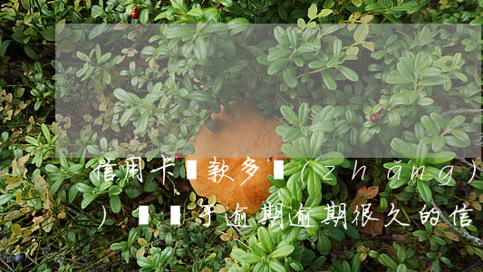 信用卡還款多長(zhǎng)時(shí)間屬于逾期(逾期很久的信用卡怎么還款)