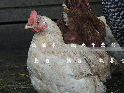 信用卡還款大于最低還款算逾期嗎(在信用卡最后還款日還款算逾期不)