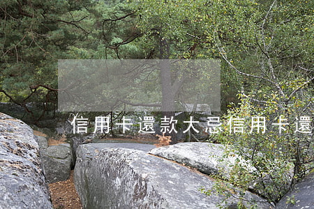 信用卡還款大忌(信用卡還款超過幾天算逾期?)