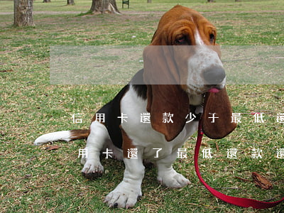 信用卡還款少于最低還算逾期嗎-為什么信用卡還了最低還款還說(shuō)逾期