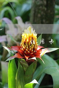 信用卡還款幾天后算逾期