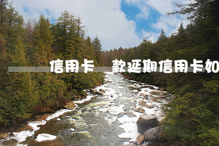 信用卡還款延期(信用卡如何延期還款)