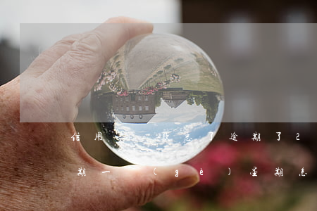 信用卡還款忘了逾期了2天(忘記還信用卡逾期一個(gè)星期怎么辦)