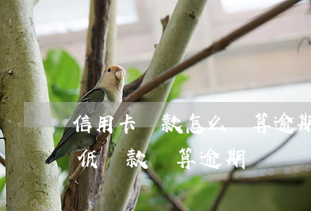 信用卡還款怎么樣算逾期(信用卡到期還了最低還款額算逾期嗎)
