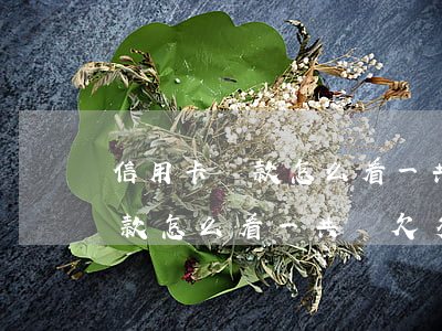 信用卡還款怎么看一共還欠多少-信用卡還款怎么看一共還欠多少錢(qián)