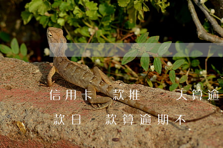 信用卡還款推遲幾天算逾期(在信用卡最后還款日還款算逾期不)