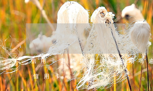 信用卡還款提醒可以逾期嗎(逾期過后還能辦信用卡)