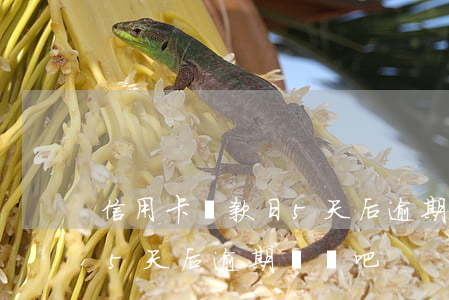 信用卡還款日5天后逾期嗎-信用卡還款日5天后逾期嗎貼吧