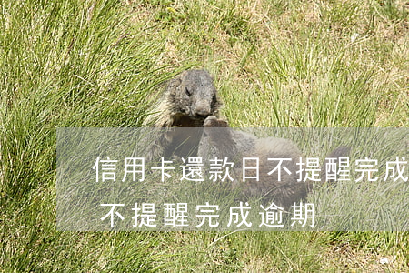 信用卡還款日不提醒完成逾期(信用卡還款日不提醒完成逾期)