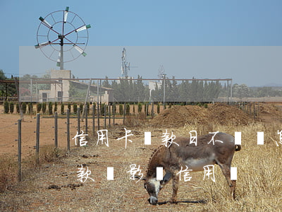 信用卡還款日不還會怎樣(信用卡還款日未還款會影響信用嗎)