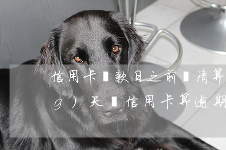 信用卡還款日之前還清算逾期嗎(當(dāng)天還信用卡算逾期嗎)