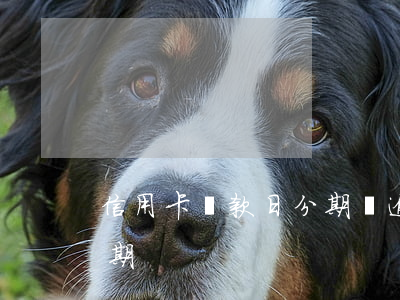 信用卡還款日分期會逾期嗎(逾期過后還能分期?)