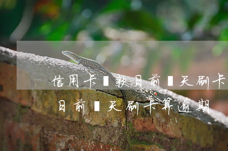 信用卡還款日前幾天刷卡算逾期(信用卡還款日前幾天刷卡算逾期)