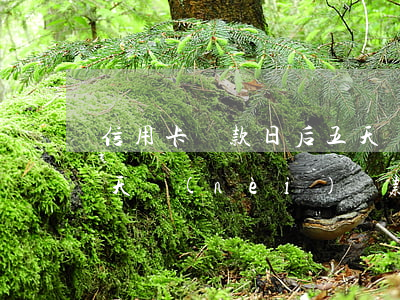 信用卡還款日后五天還款是逾期嗎(信用卡3天內(nèi)還款算逾期嗎)